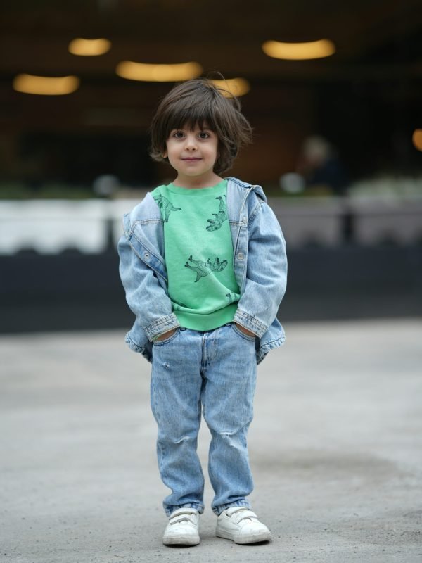 mohammad-hossein-mirzagol-KmvSlRg2R5s-unsplash